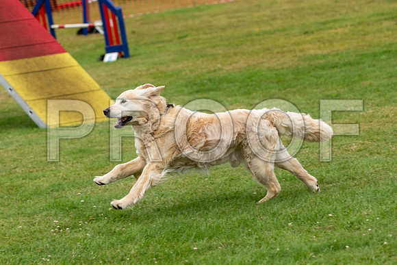 2085_SpringersFunDay2019_craigshawphoto