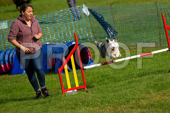 0156_SpringersFunDay2019_craigshawphoto