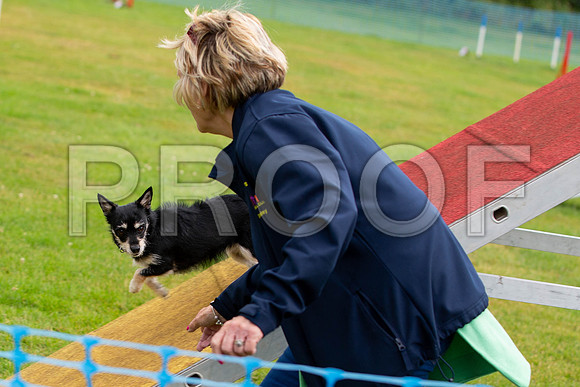0323_SpringersFunDay2019_craigshawphoto