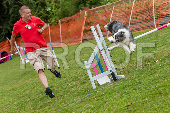 2046_SpringersFunDay2019_craigshawphoto