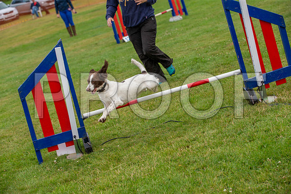1753_SpringersFunDay2019_craigshawphoto