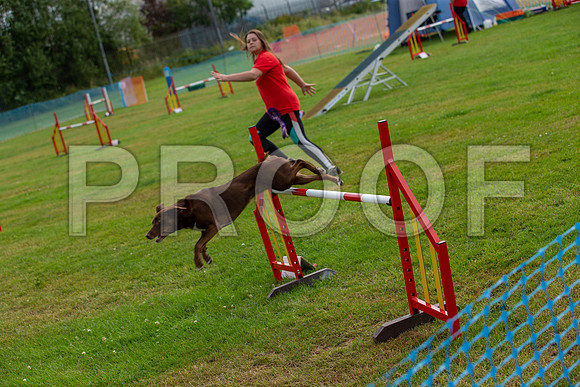 0822_SpringersFunDay2019_craigshawphoto
