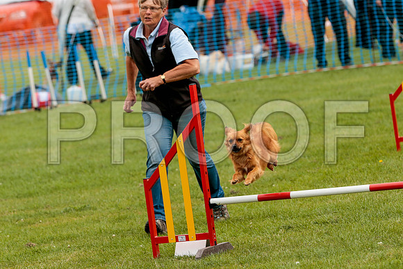 2660_SpringersFunDay2019_craigshawphoto