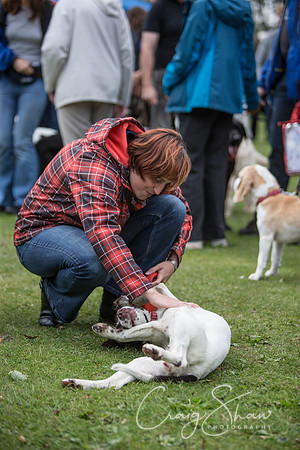 26_BarkintheParkHuddersfield_2014_bluplanetphoto