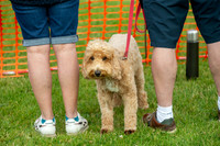 0951_SpringersFunDay2019_craigshawphoto