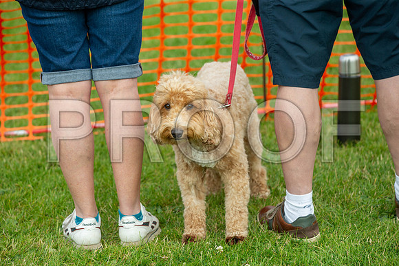 0951_SpringersFunDay2019_craigshawphoto