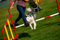 0151_SpringersFunDay2019_craigshawphoto