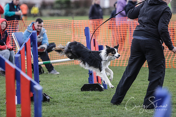 339__SpringersFunDay_March2014_bluplanetphoto