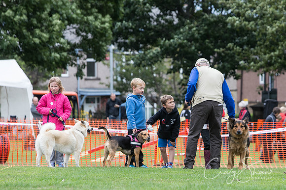 1843_BarkintheParkHuddersfield_2014_bluplanetphoto