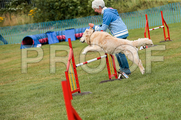 3196_SpringersFunDay2019_craigshawphoto