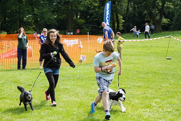 RSPCA Dog Day Afternoon