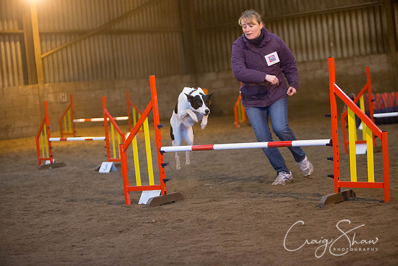 153_springfling2015_bluplanetphoto