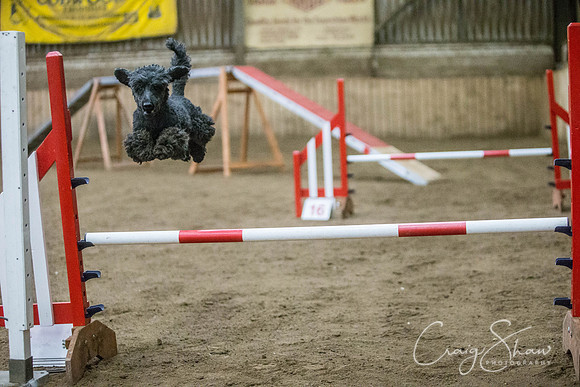 1423_springfling2015_bluplanetphoto