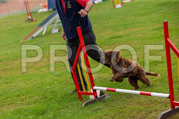 0355_SpringersFunDay2019_craigshawphoto