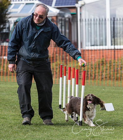 545__SpringersFunDay_March2014_bluplanetphoto