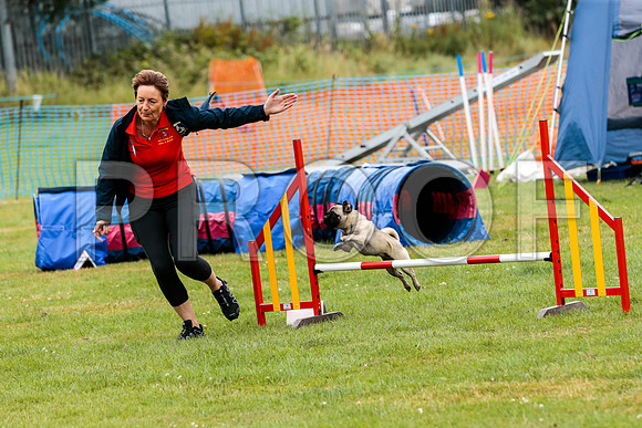 2611_SpringersFunDay2019_craigshawphoto