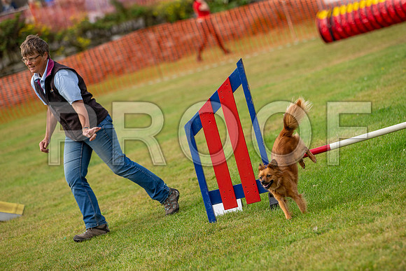 0888_SpringersFunDay2019_craigshawphoto