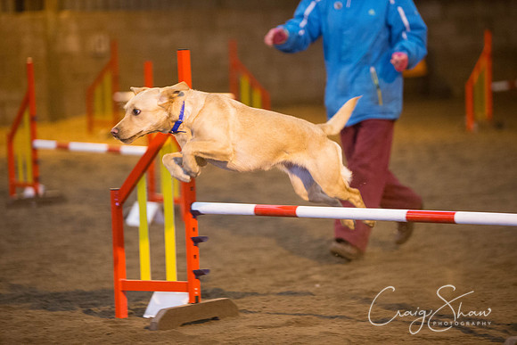 123_springfling2015_bluplanetphoto