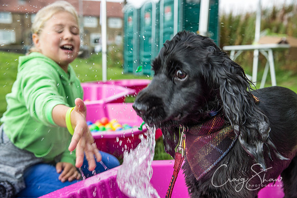 244_Woofstock2016_craigshaw