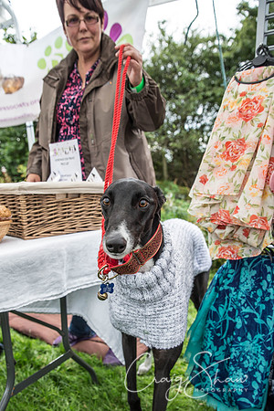 408_Woofstock2016_craigshaw