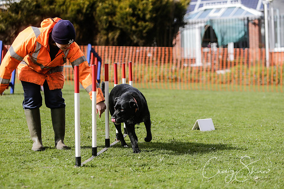 779__SpringersFunDay_March2014_bluplanetphoto