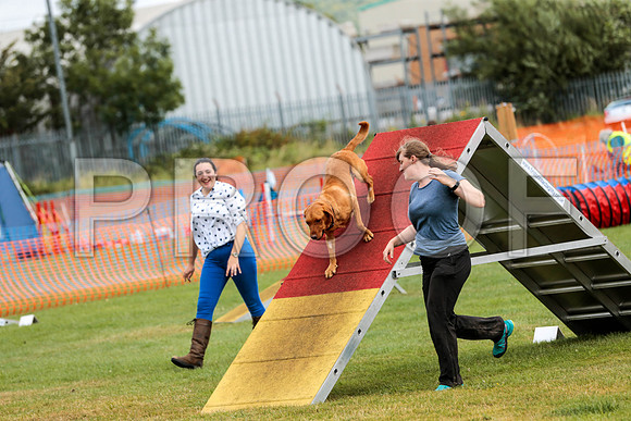 3243_SpringersFunDay2019_craigshawphoto