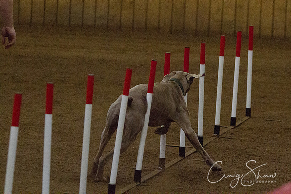 spring fling 2012-2357