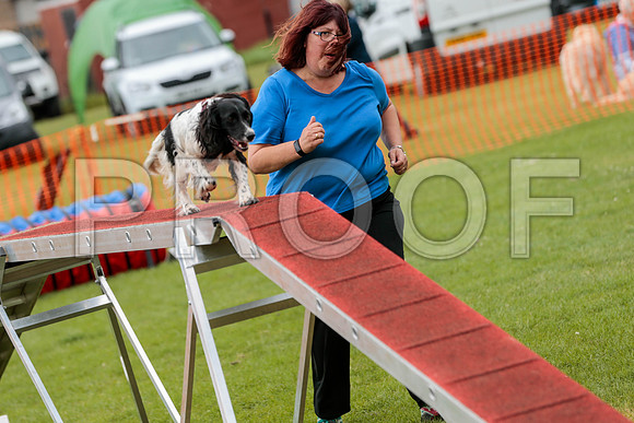 2628_SpringersFunDay2019_craigshawphoto