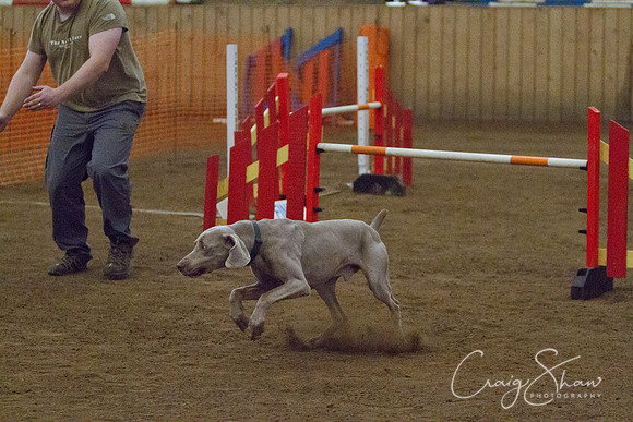 spring fling 2012-2350