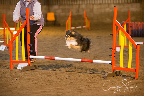 374_springfling2015_bluplanetphoto