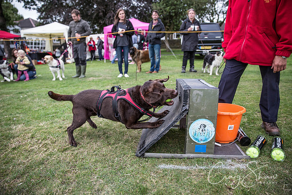 1690_BarkintheParkHuddersfield_2014_bluplanetphoto