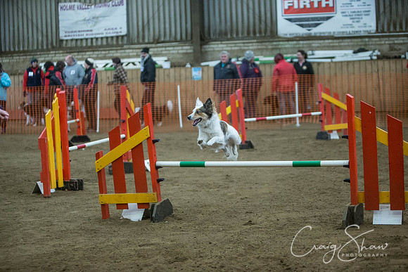 2656_springfling2015_bluplanetphoto