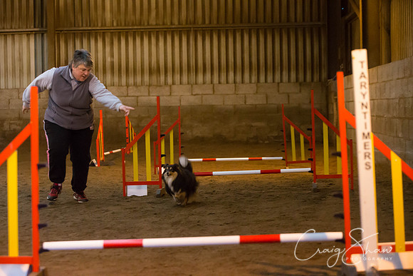 384_springfling2015_bluplanetphoto