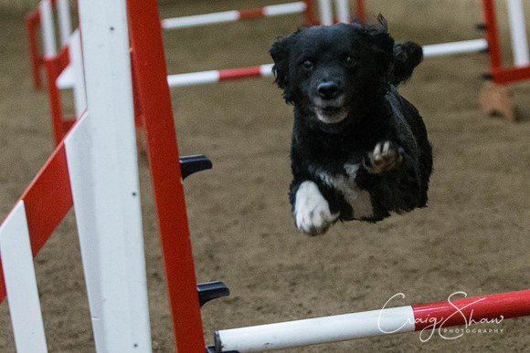 2853_springfling2015_bluplanetphoto