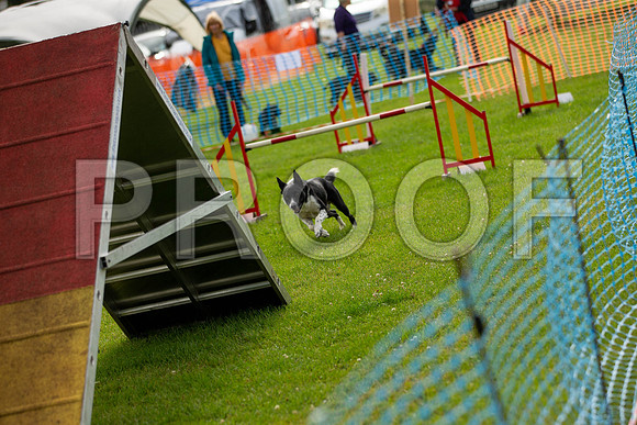0857_SpringersFunDay2019_craigshawphoto