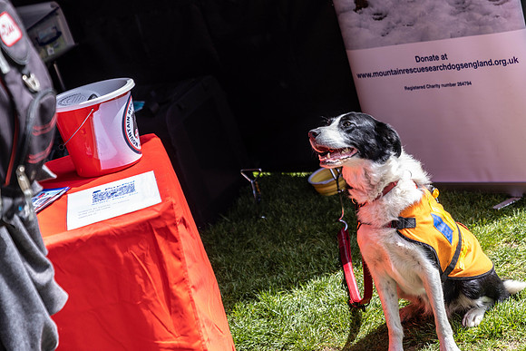 286__HebdensHappyHounds2022_May2022_cshaw