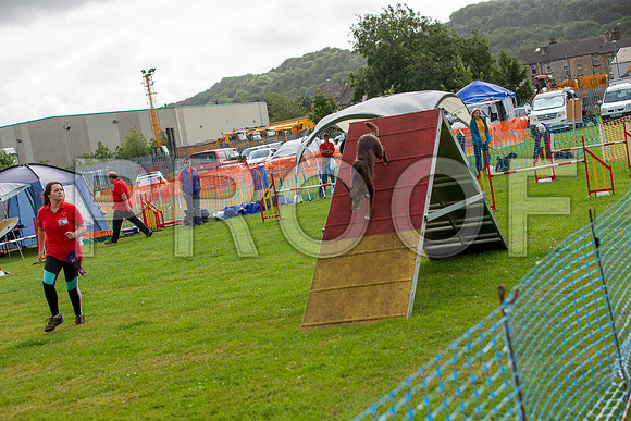 0815_SpringersFunDay2019_craigshawphoto