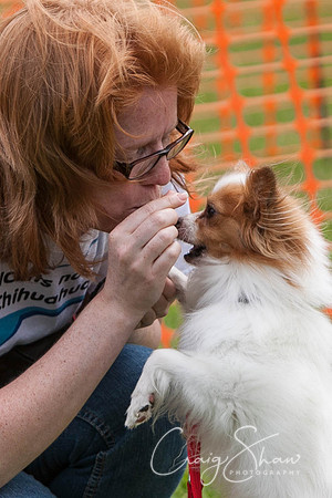 RSPCA Dog Day Afternoon