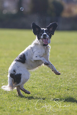 1498__SpringersFunDay_March2014_bluplanetphoto