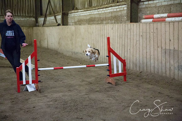 486_springfling2015_bluplanetphoto