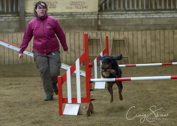 2587_springfling2015_bluplanetphoto