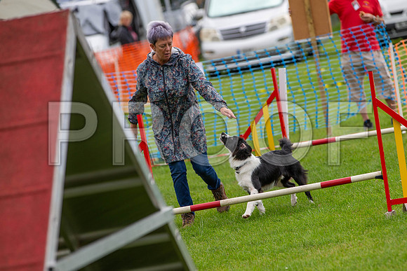 1058_SpringersFunDay2019_craigshawphoto