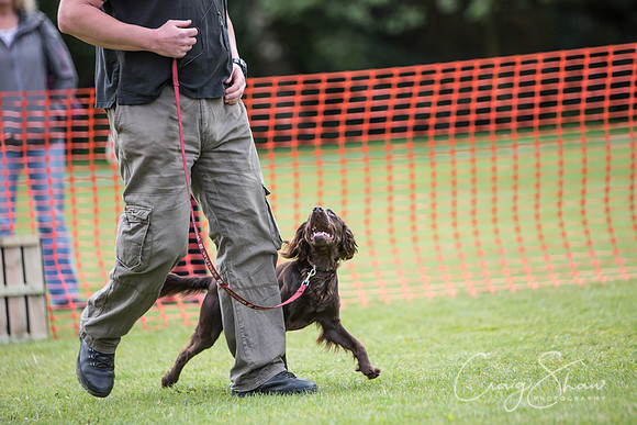 50_HebdenHappyHounds_2014_bluplanetphoto