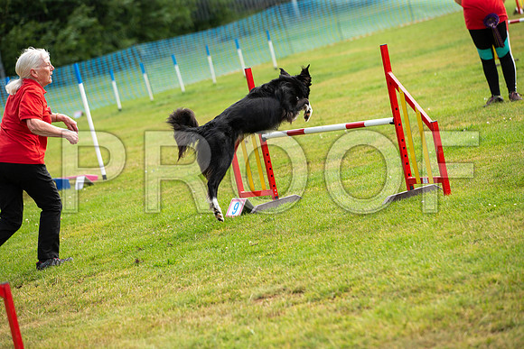 0699_SpringersFunDay2019_craigshawphoto