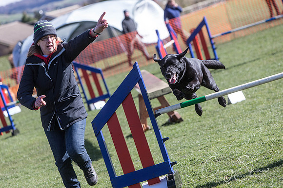 1610__SpringersFunDay_March2014_bluplanetphoto