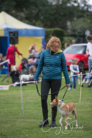 11_BarkintheParkHuddersfield_2014_bluplanetphoto