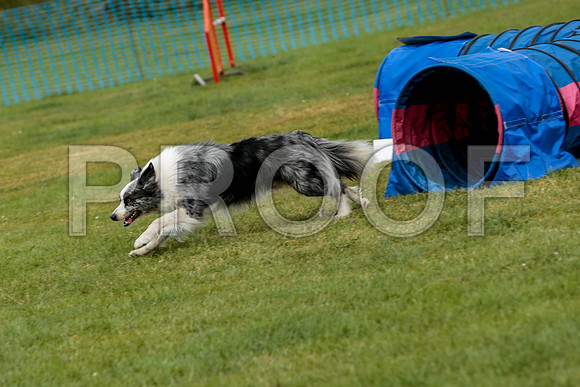 3182_SpringersFunDay2019_craigshawphoto
