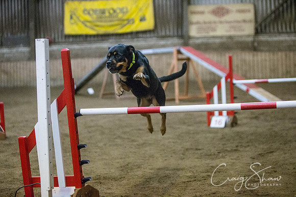 1219_springfling2015_bluplanetphoto