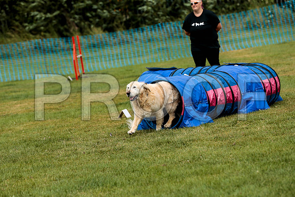 3192_SpringersFunDay2019_craigshawphoto