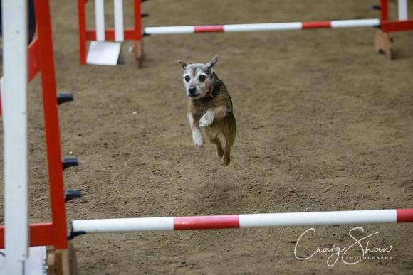 2857_springfling2015_bluplanetphoto